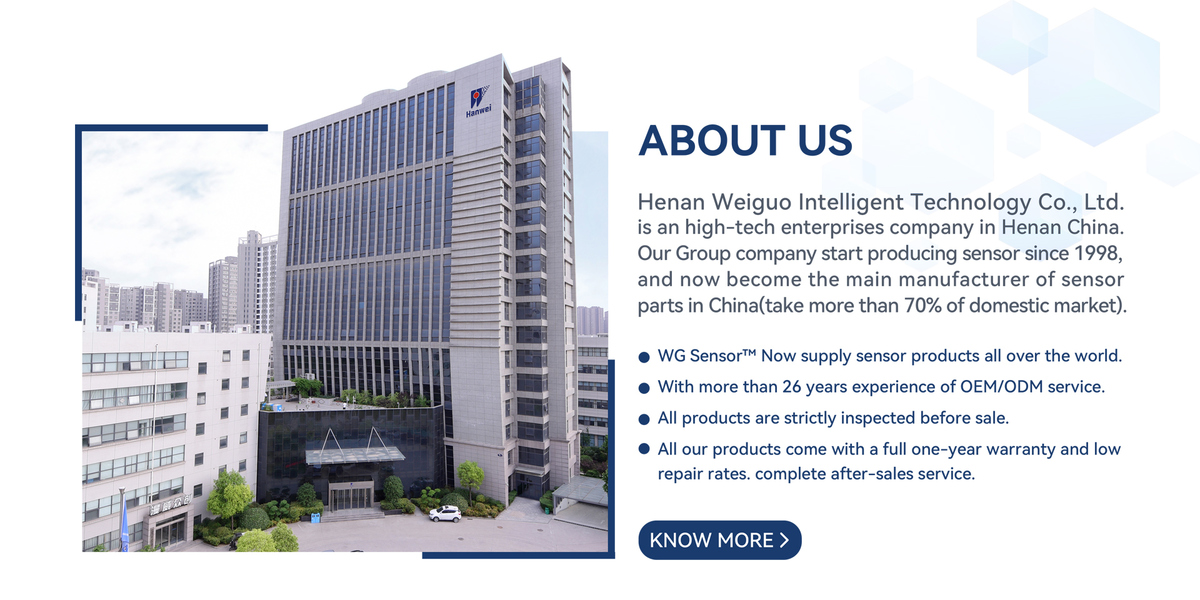 중국 Henan Weiguo Intelligent Technology Co., Ltd. 회사 프로필